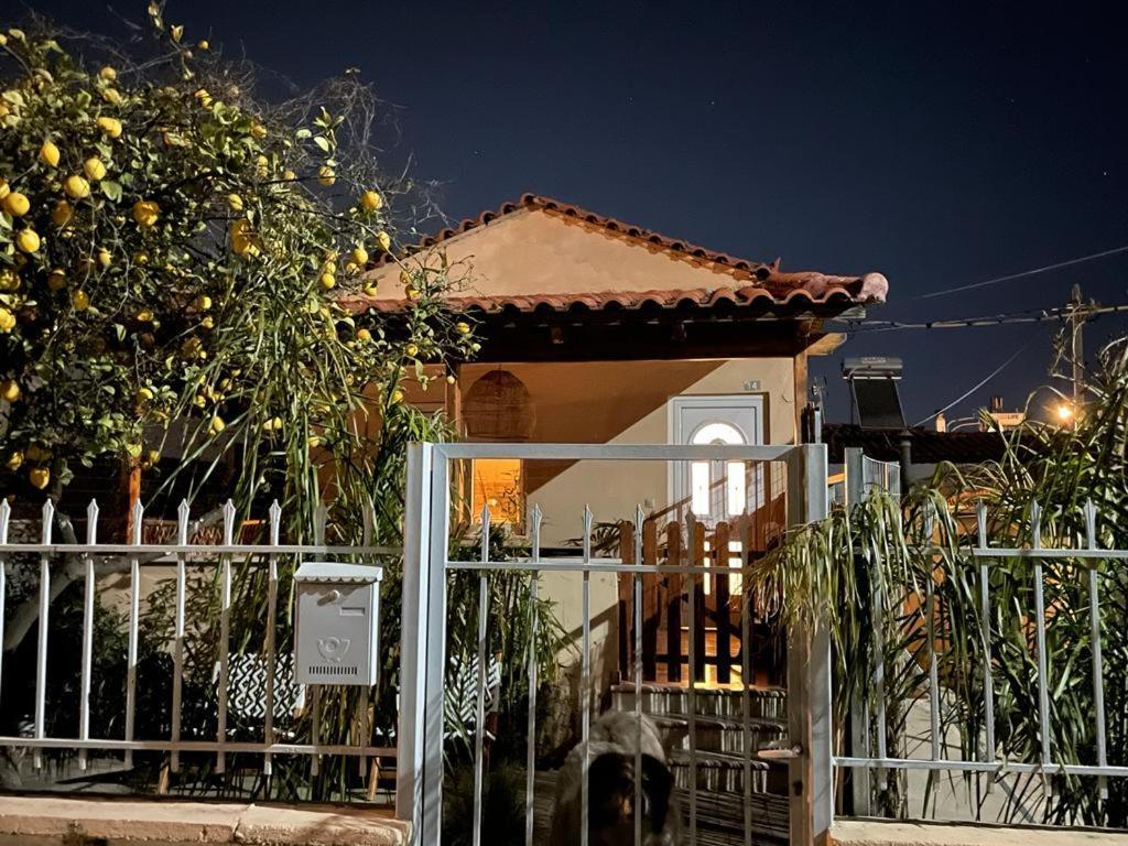 Agapi Home Άγιος Σπυρίδων Εξωτερικό φωτογραφία